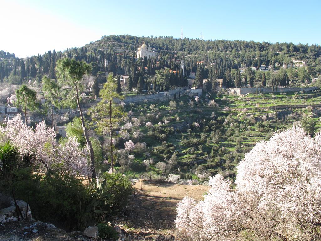 הקן - בית נופש רומנטי בעין כרם – ירושלים מראה חיצוני תמונה
