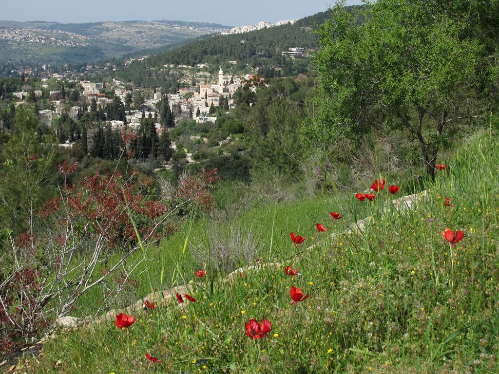 הקן - בית נופש רומנטי בעין כרם – ירושלים מראה חיצוני תמונה